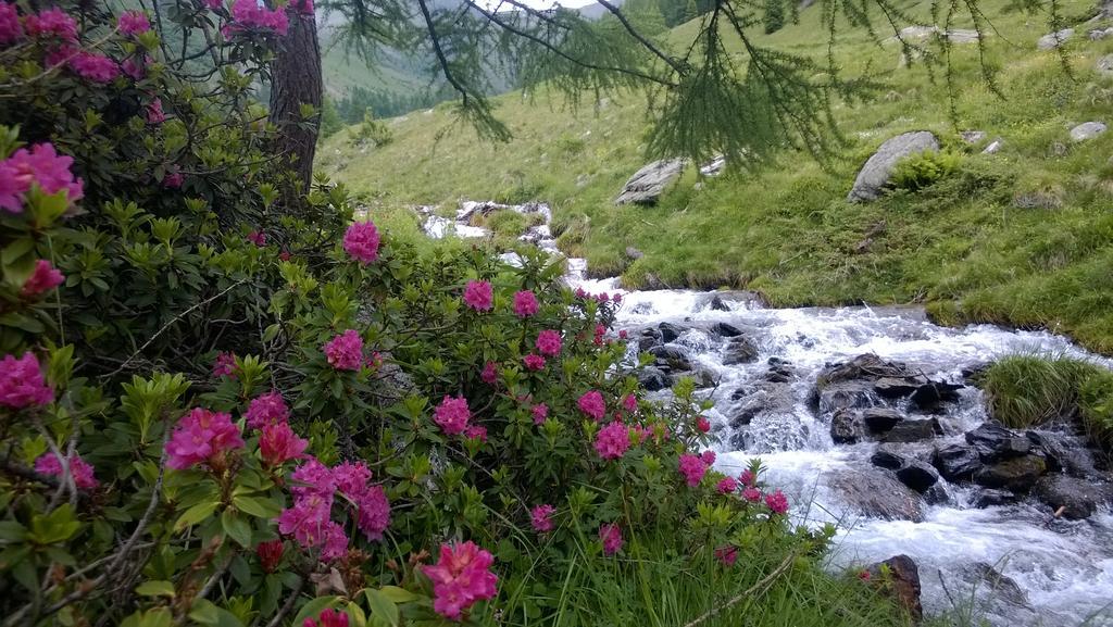Albergo Eden Passo del Tonale Kültér fotó
